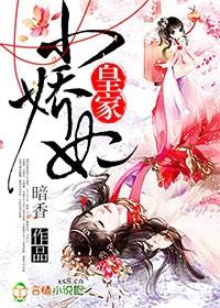 皇家小娇妃国语免费观看