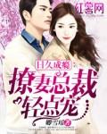 撩妻总裁轻点宠百度