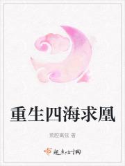 四海求凰无奈佳人兮