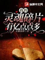 我的灵魂有两百斤攻略