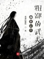 我是个粗人下一句