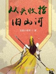 从头收拾旧山河藏机诗