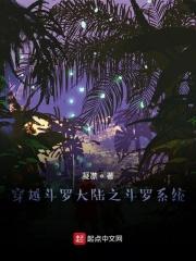穿越斗罗大陆之斗罗系统最新章节