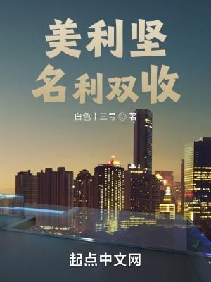 美利坚名利双收笔趣阁无错版