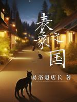 表象之下是什么意思
