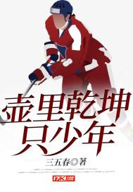 壶中定乾坤