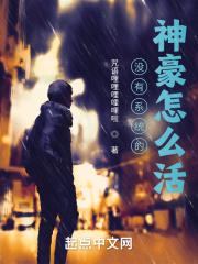 完本系统神豪类