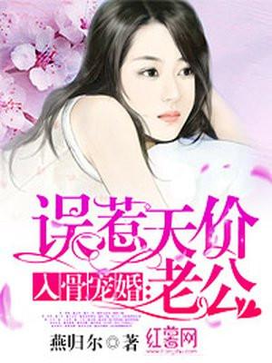 入骨成宠婚误惹天价老公