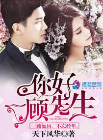你好顾先生迟迟