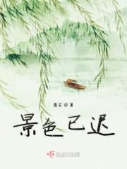 景色是什么意思啊