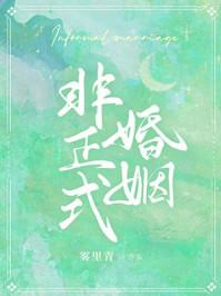 非正式婚姻免费阅读
