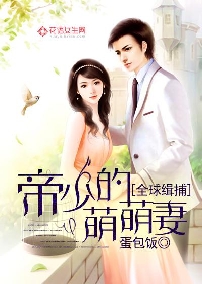 全球通缉帝少萌萌妻