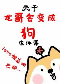 龙哥团队又加入了新成员