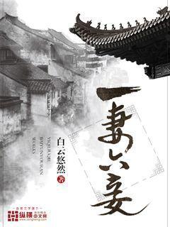 一妻六妾全文免费阅读