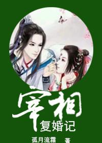 宰相追夫记(重生)