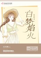 白梦焰火傅岁月娇第一次