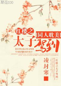 穿越红楼之太子驾到