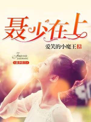 聂少夫人又和你离婚了