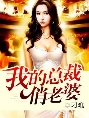 我的总裁老婆网剧