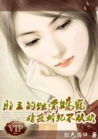 嗜宠暗夜王妃