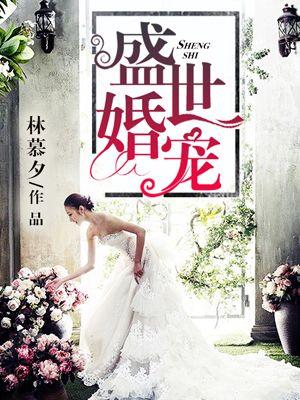 盛世婚宠军少的小暖妻最新章节列表