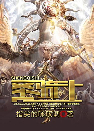 圣骑士护盾