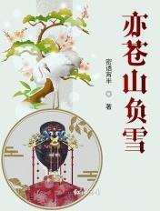 苍山负雪明烛天南的翻译