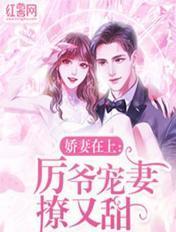 娇妻乖乖受宠厉烁沁厉书擎