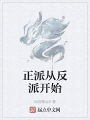 正派反派