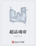 极品帝魂