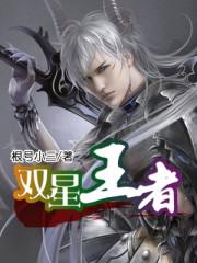王者荣耀双