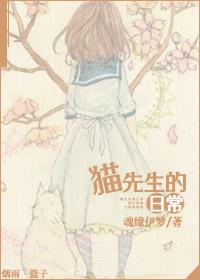 猫先生动画
