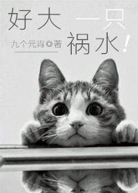 好大一只虫