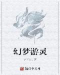 梦幻灵韵