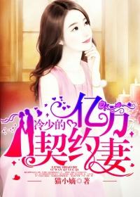 冷少的契约逃妻全文