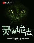 灵猫记