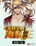 海贼王 科技