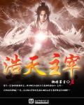 主宰天域等级划分