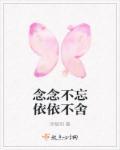 恋恋不舍 念念不舍 依依不舍