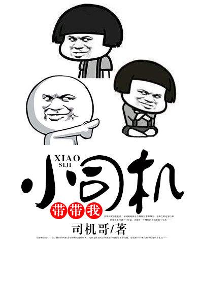 小司机带带我我有十八岁歌