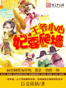 王爷小心这个王妃有点冷