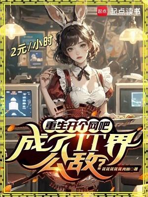 重生开个网吧成了it界公敌免费阅读