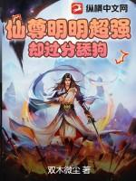 仙尊太强势免费阅读