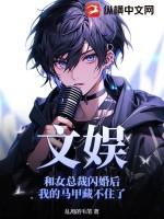 和公司总裁闪婚