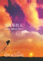 追风筝的人在线阅读完整版