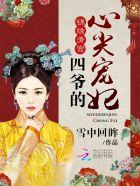 四爷的心尖宠妃演员表