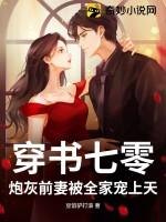 七零炮灰前妻作者清梦微霜