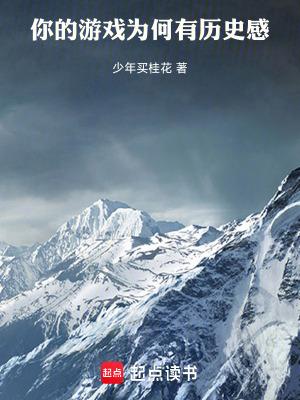 你的游戏为何有历史感呢