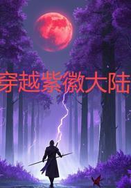 穿越紫薇的哥哥