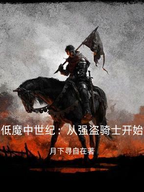 天国拯救强盗领袖